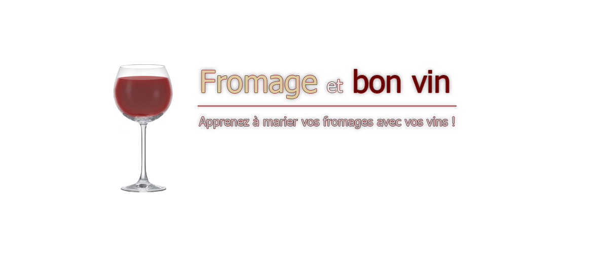 http://www.fromageetbonvin.com/logo.png