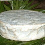 avis fromage vin