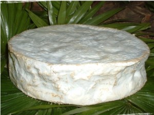 coulommiers brie