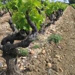 guide vin