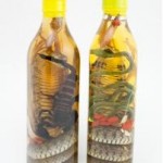 Le Vin de Serpent