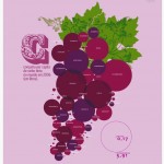 Consommation de vin en 2011