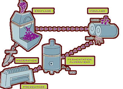 vinification